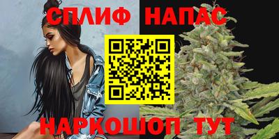 гидра Лесосибирск