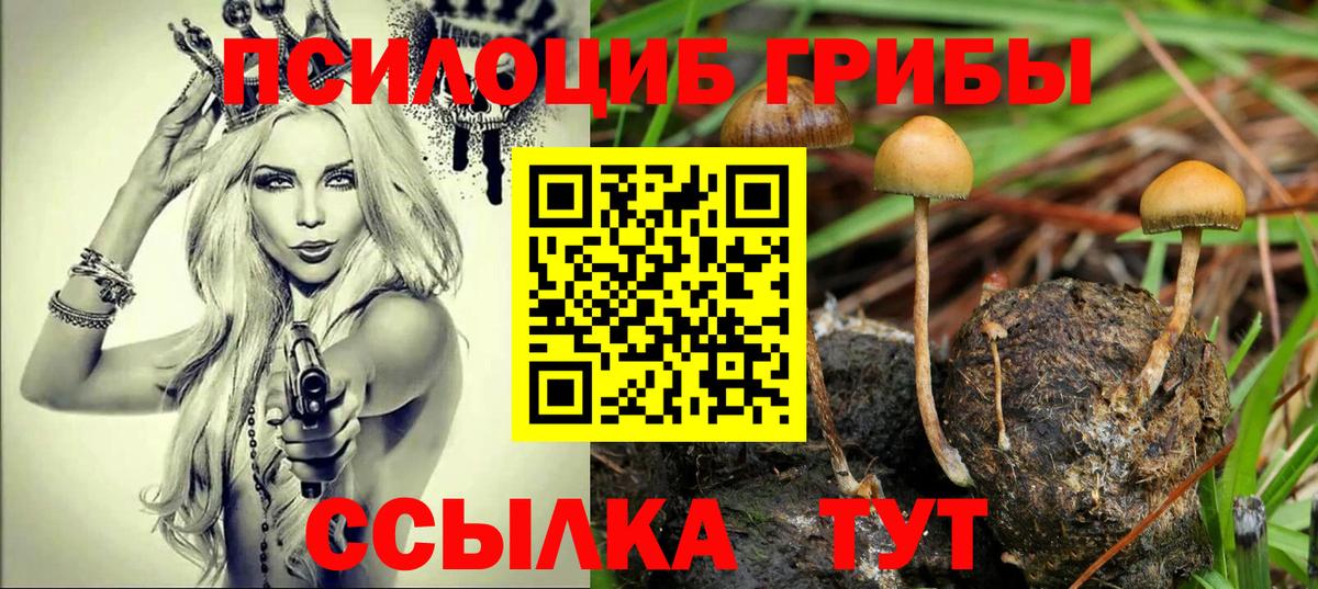 Галлюциногенные грибы Magic Shrooms Вязьма